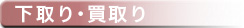 保証保険